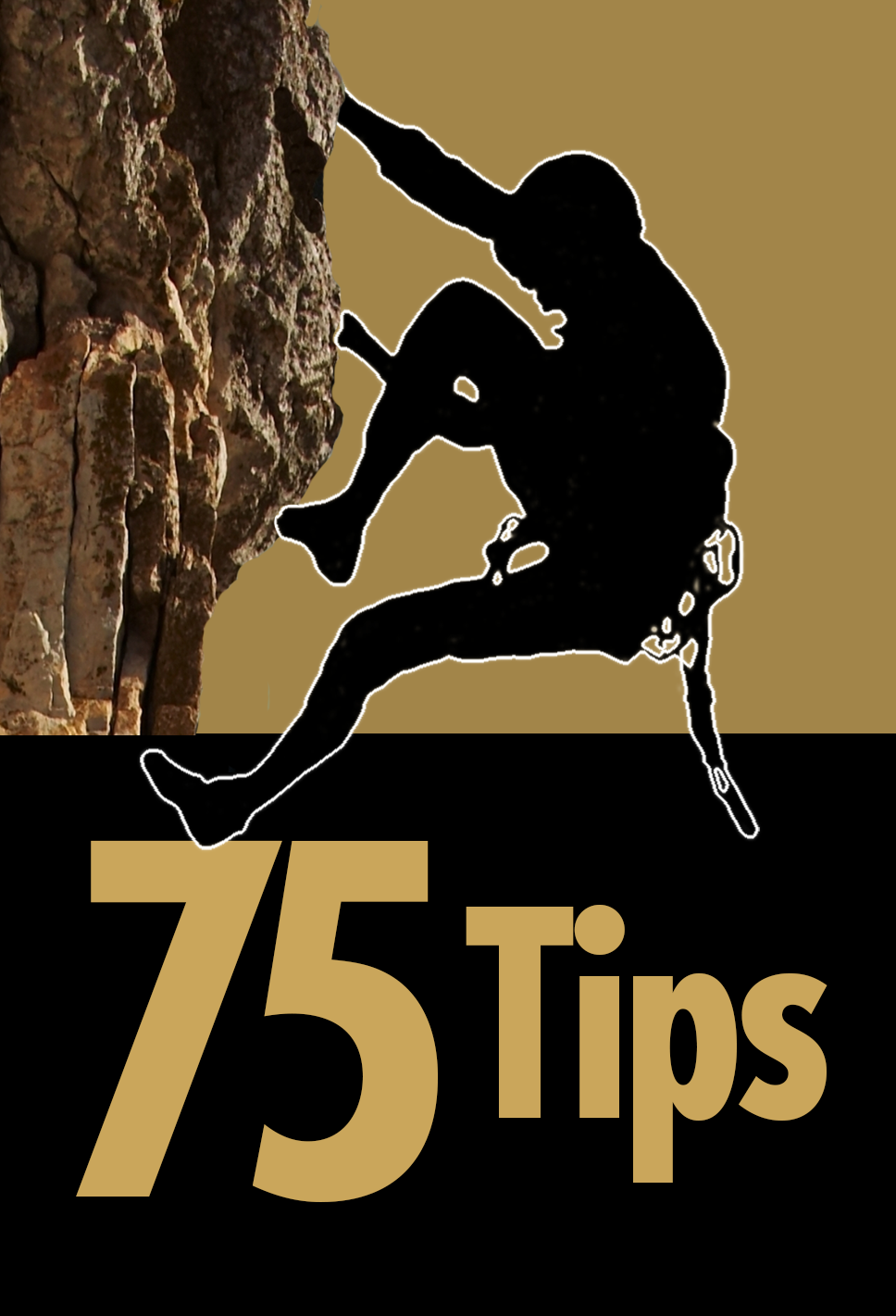 75 Tips for Technical Trainers logo